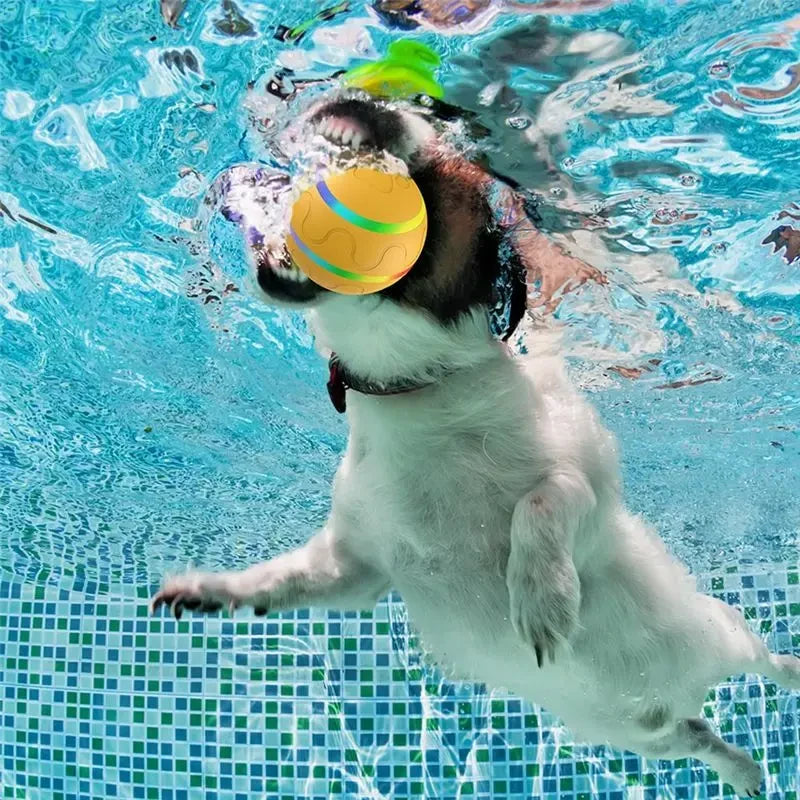 Interactive Electric Pet Rolling Ball